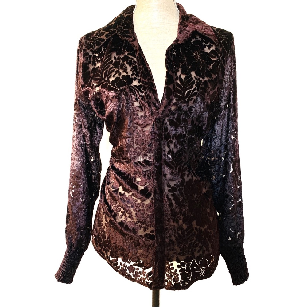 Women’s Brown Sheer Floral Velvet Burnout …